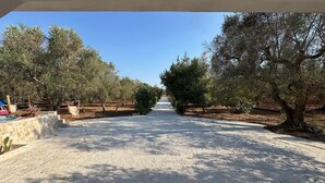 Un sendero de grava bordeado de olivos, que conduce a una pared de piedra y una construcción de madera.