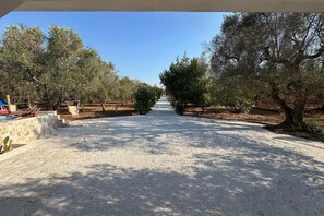 Terrein van de accommodatie