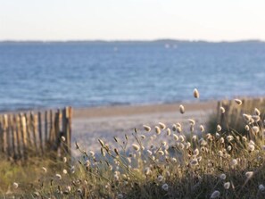Nær stranden