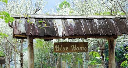 Blue home