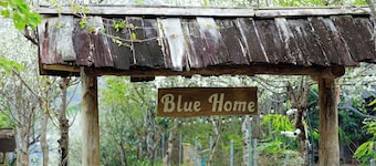 Blue home