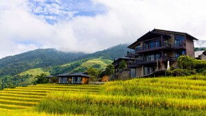 Un edificio de varios pisos con balcón, rodeado de exuberantes campos de arroz verdes y montañas al fondo.