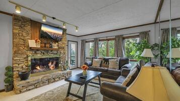 Televisión y chimenea