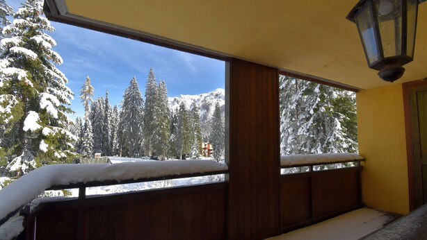 A balcony with a view of snow-covered trees and mountains.
