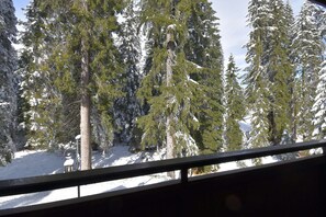 Àrea exterior de l'allotjament