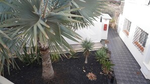 A narrow pathway leading to a white building with a small garden area featuring palm trees and other plants. - Modern House in Bajamar (Bajamar)
