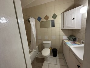 Shower, towels, soap, toilet paper