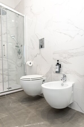 Shower, hair dryer, bidet, towels