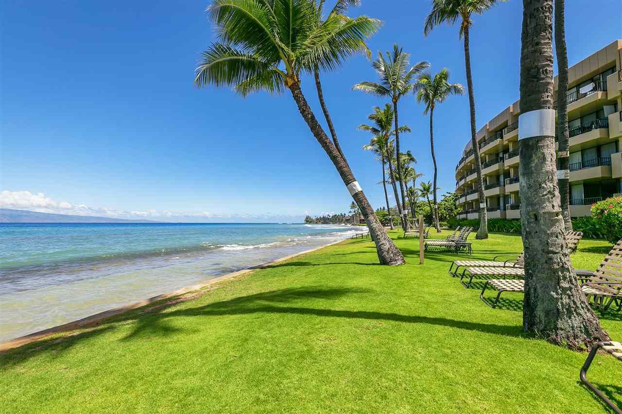 A beachfront hotel with palm trees, a grassy lawn, and a view of the ocean.