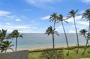A beach view with palm trees and a clear sky. - Luxury Oceanview Punaluu Condo (Hau`ula)