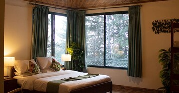 Habitación Deluxe doble | Sistema de insonorización, tabla de planchar con plancha, wifi gratis