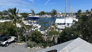 A marina with multiple boats docked, surrounded by palm trees and buildings.