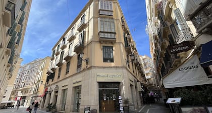 Historical living in the heart of Málaga with 3 BR and 2 bathrooms. Lift + WIFI