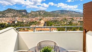 Superior Apartment (44) | Terrace/patio