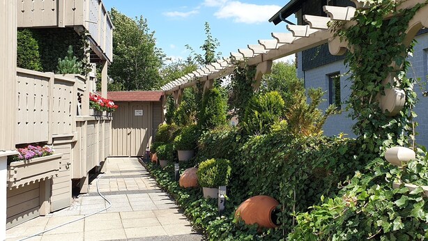 Un étroit sentier bordé de bâtiments dotés de balcons en bois et de plantes en pot.