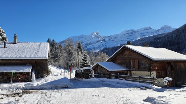 Exterior - Pittoresque Chalet A LA Montagne Proche du Glacier à Proximité (Ormont-Dessus)