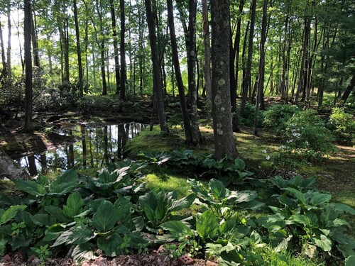 FernRockCabin- A Peaceful getaway in the Laurel Highlands of PA
