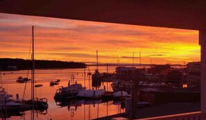 Marina - Harbor View Cottage - Unit A (Belfast)