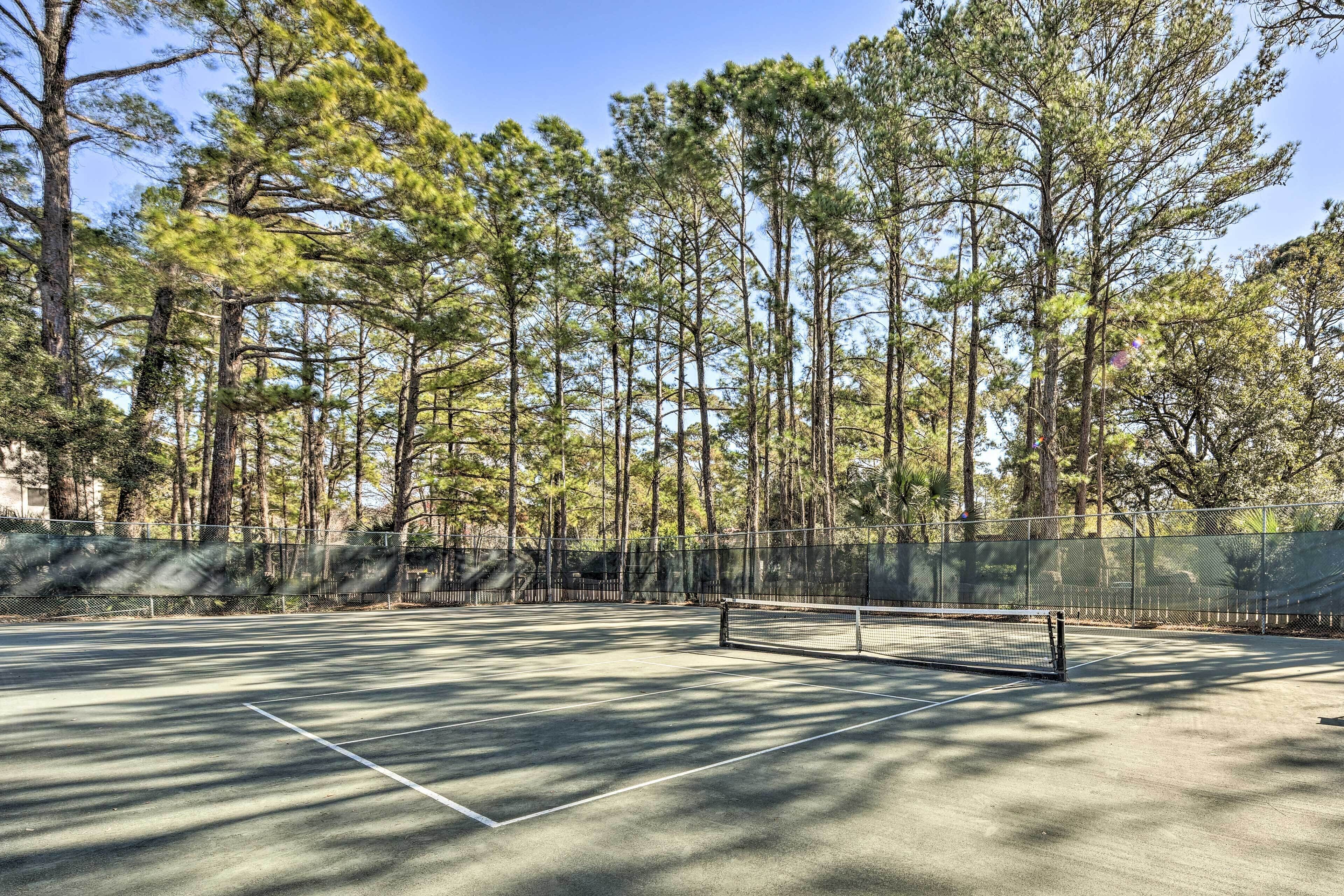 Een tennisbaan omringd door hoge dennenbomen.