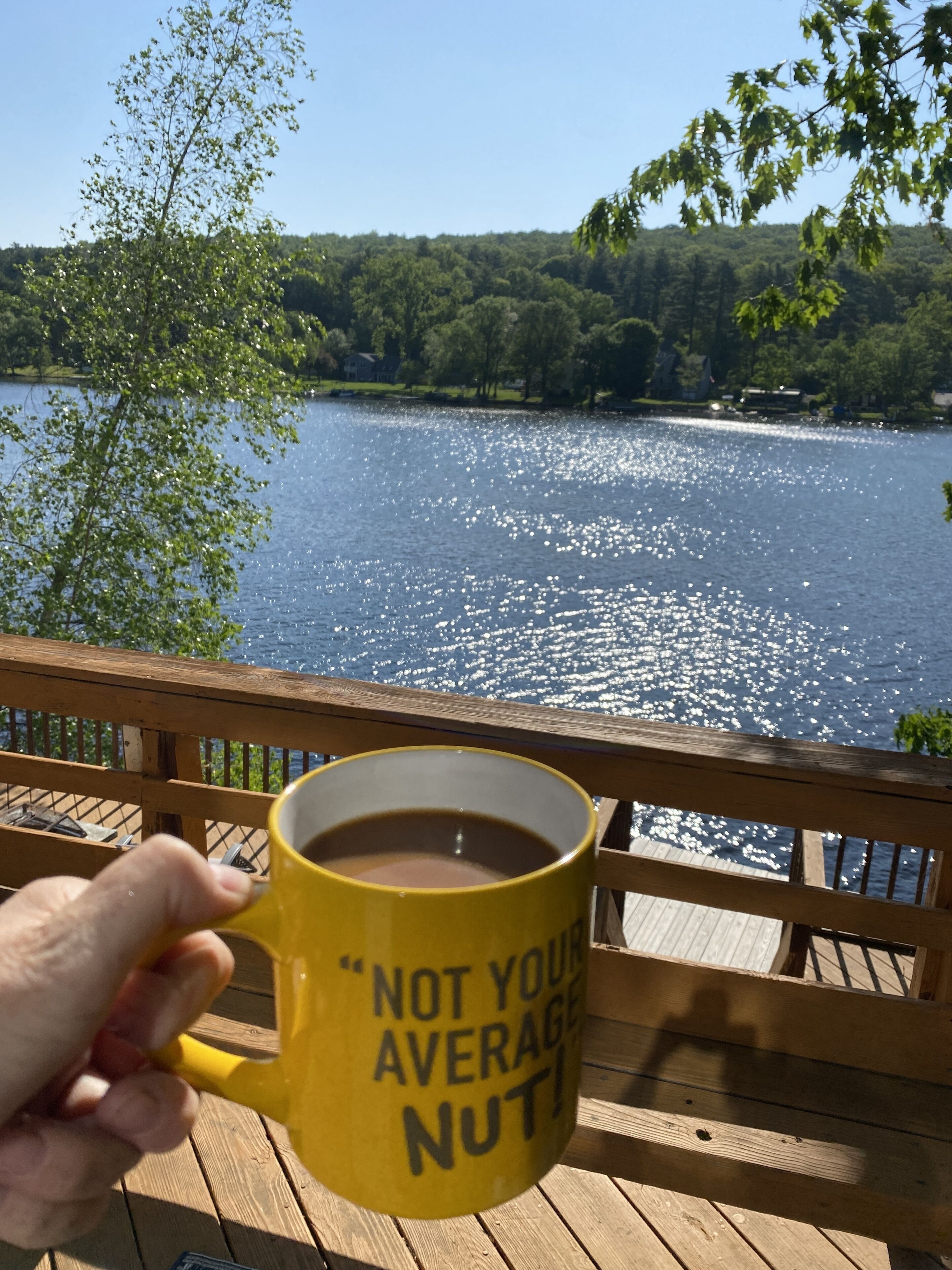 En hånd holder en kop med teksten "NOT YOUR AVERAGE NUT!" foran en træterrasse med udsigt over en sø, træer og en klar himmel.