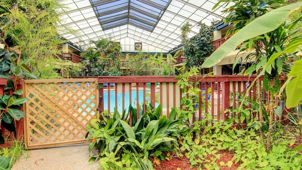 A greenhouse with a glass roof, various plants, and a pool area. - Cozy Studio Loft | Indoor Pool & Walk to Beach (Corpus Christi)