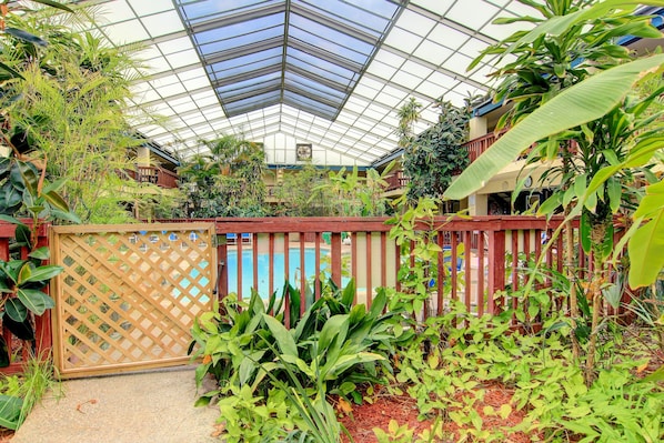 A greenhouse with a glass roof, various plants, and a pool area.