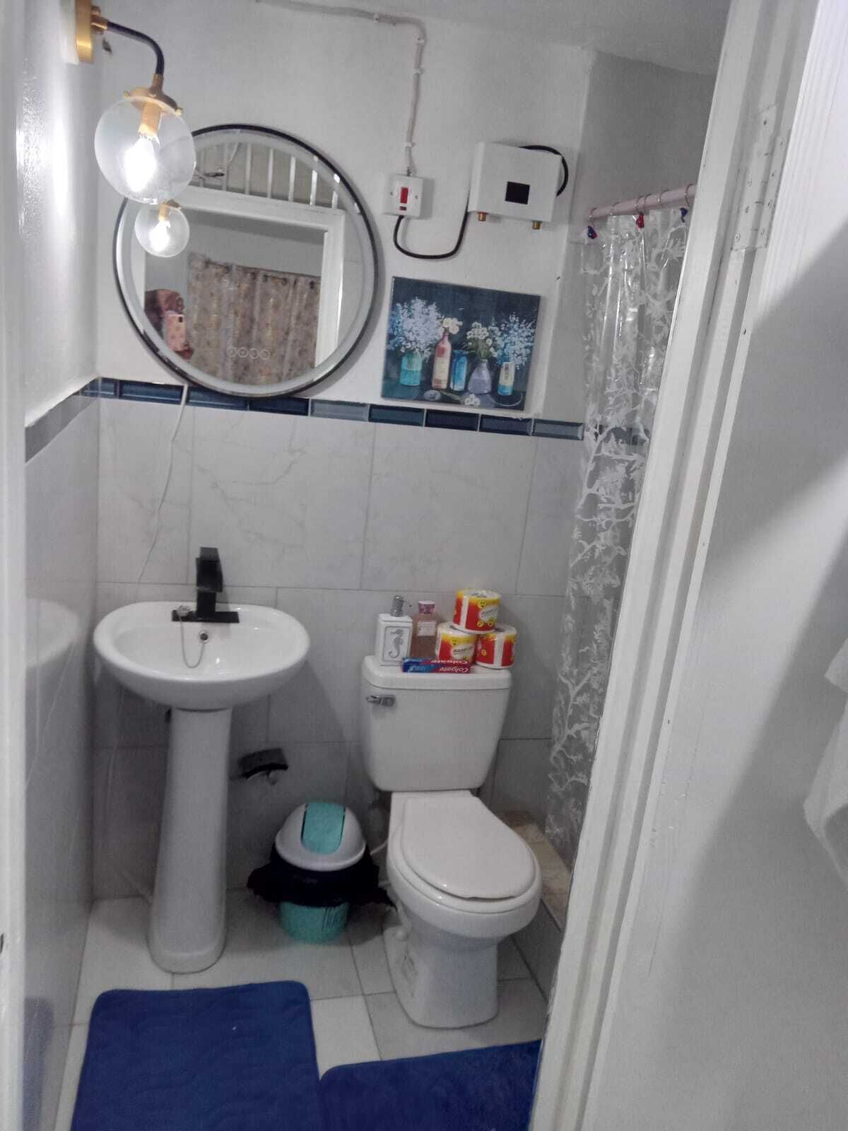 A bathroom with a pedestal sink, a toilet, a mirror, and a shower curtain.