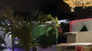 An outdoor area with a concrete planter, a small tree, and a building with red lights in the background.