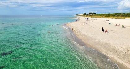Venice Florida near beach and downtown