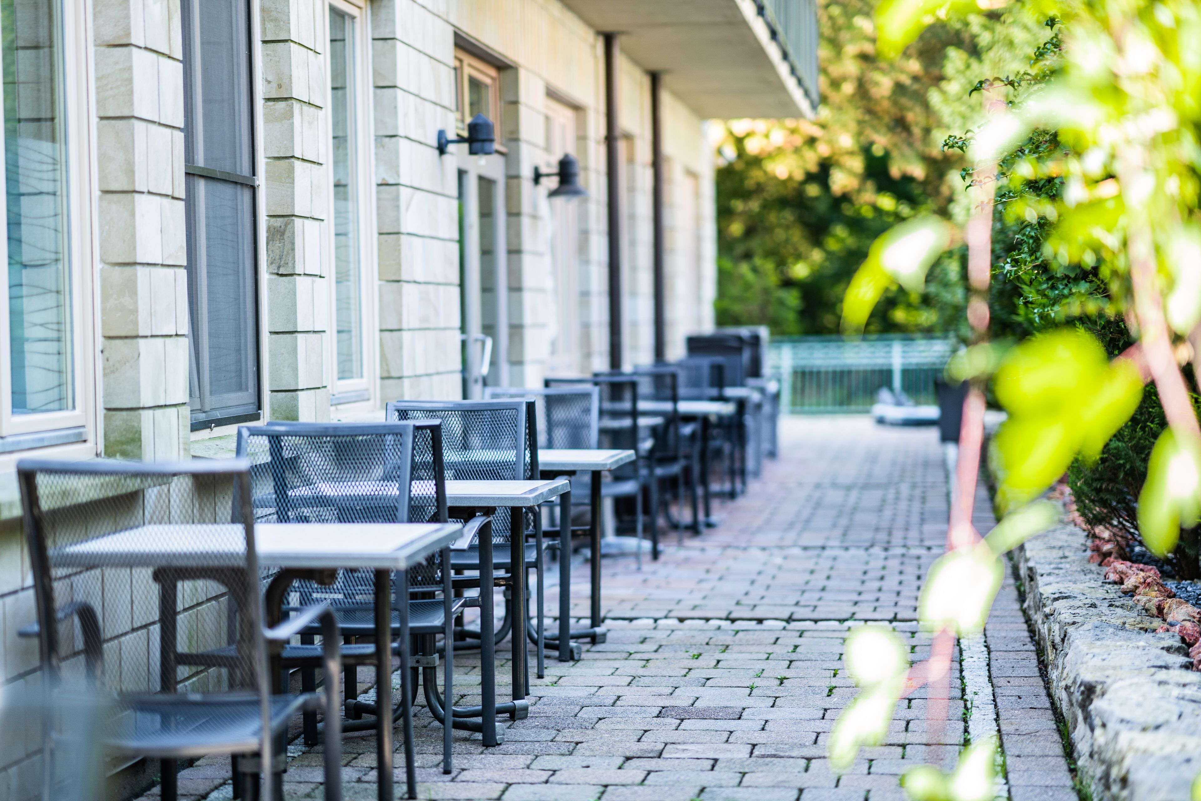 A row of outdoor tables and chairs aligned against a building with large windows.