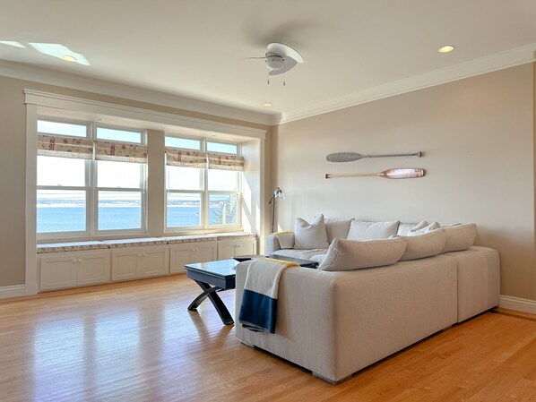 Smart TV, fireplace, DVD player, books