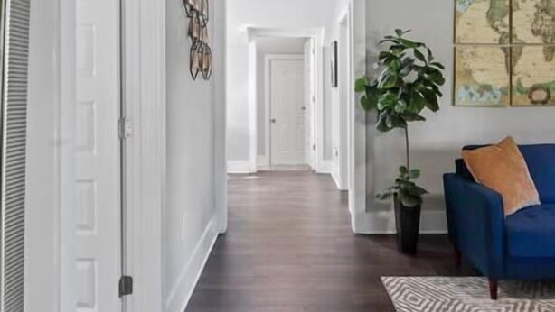 A hallway with white walls, a blue couch with a throw pillow, and a large plant. - Heart of Fountain Inn: 2BR Gem (Fountain Inn)