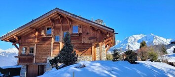 Vue chalet et Mont Blanc 