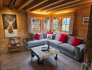 Smart TV, fireplace, books, stereo