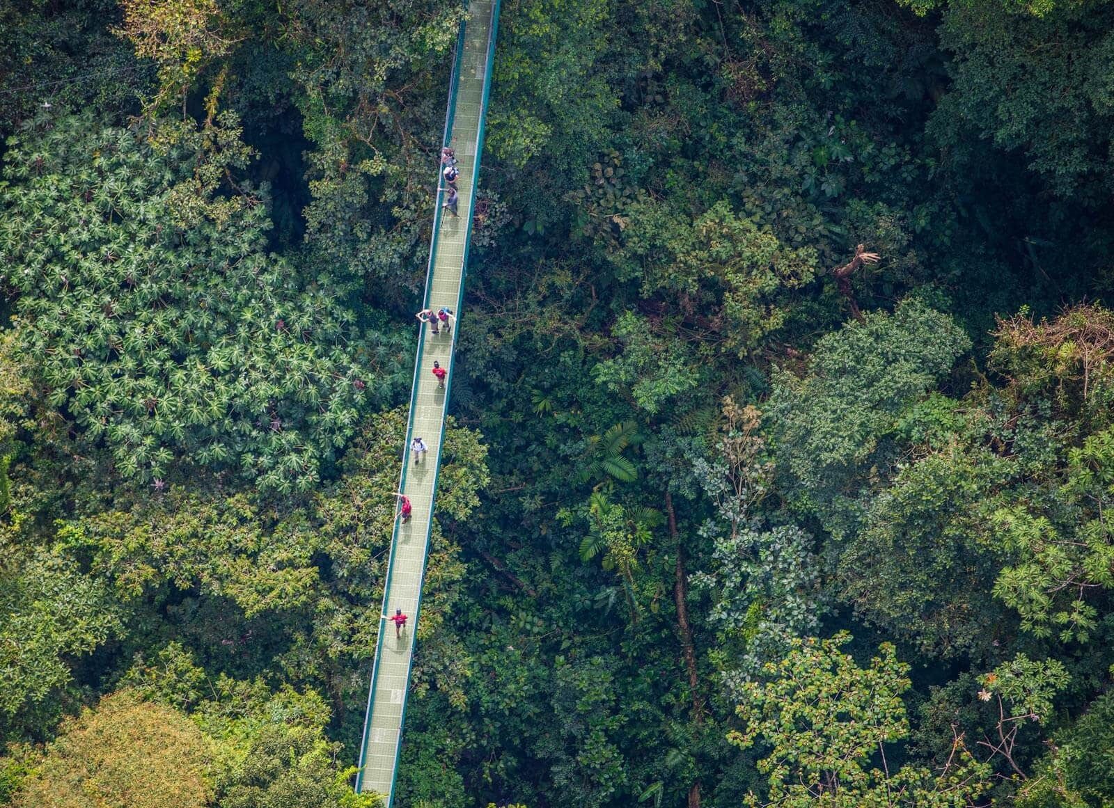 An aerial view of a suspension bridge surrounded by dense forest.