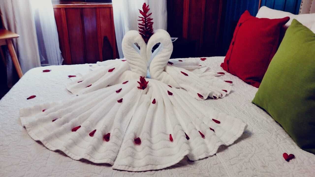 A bed with a white bedspread and red rose petals scattered on it.