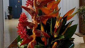 A reception desk with a decorative plant arrangement featuring red and orange flowers.