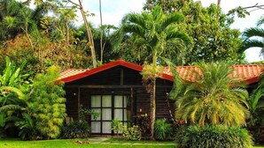 A wooden cabin with a red roof, surrounded by lush tropical vegetation.