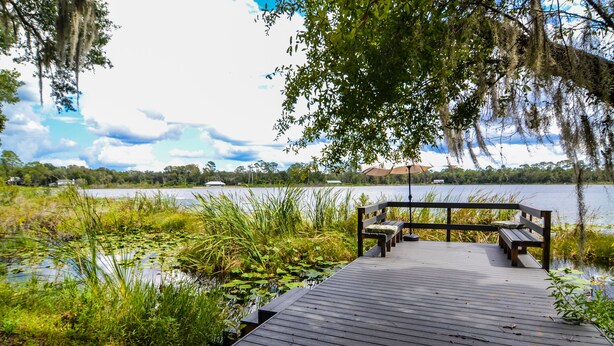 Un muelle de madera que se adentra en un lago, con bancos y una mesa de picnic, rodeado de abundante vegetación y árboles.
