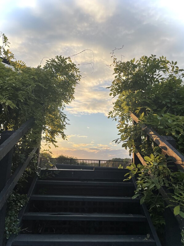 Property grounds - Cosy Remote Cabin with Hot tub and Swimming Pool in vast private space, for 10 (Little Downham)