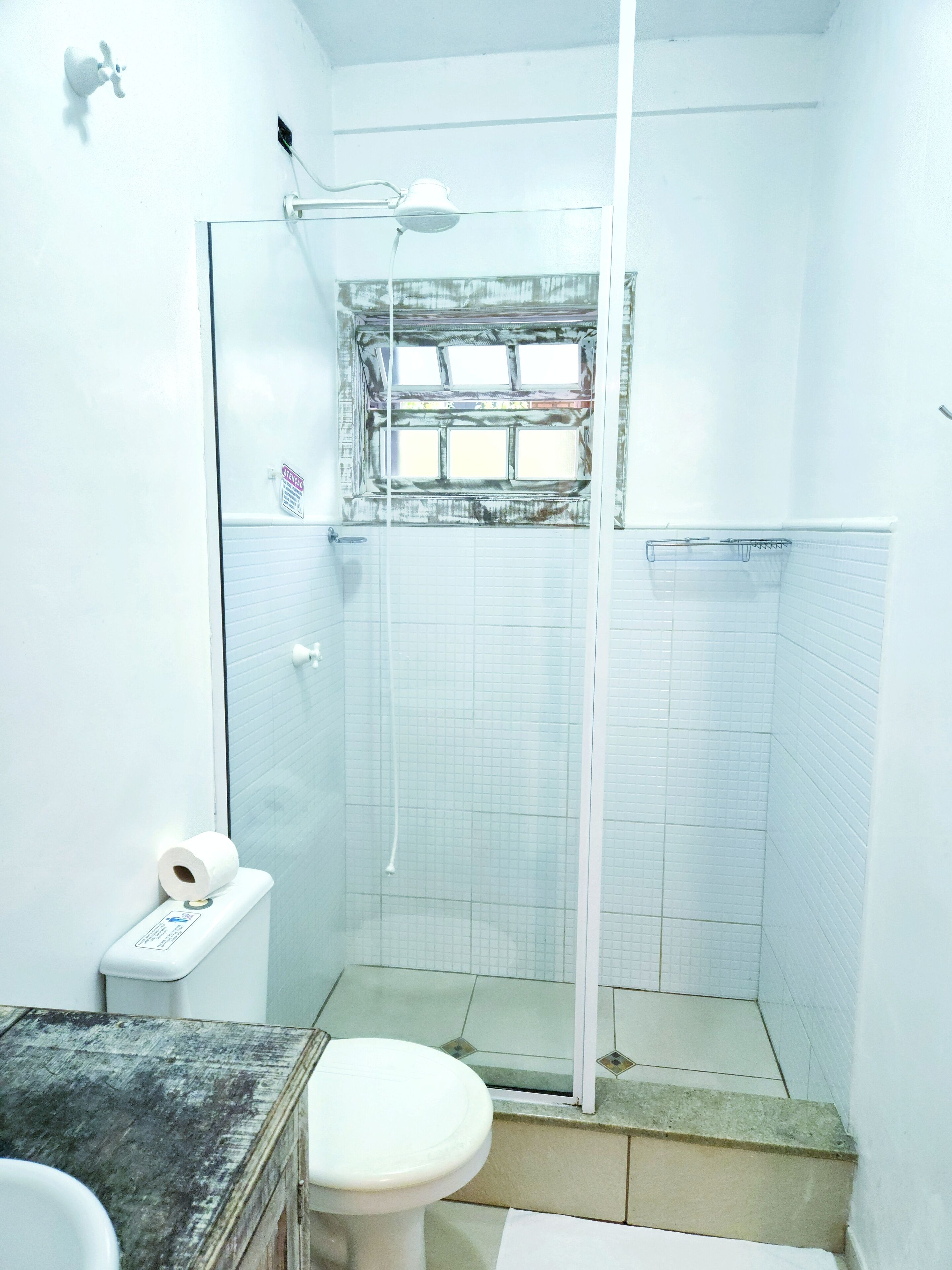 A bathroom with a toilet, a shower enclosure, and a window with a view.