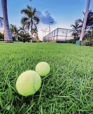 Área da propriedade