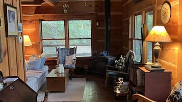 TV, fireplace, DVD player, books