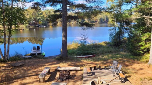 Chalet Jaune au Bord du lac Entouré de Pins Blancs