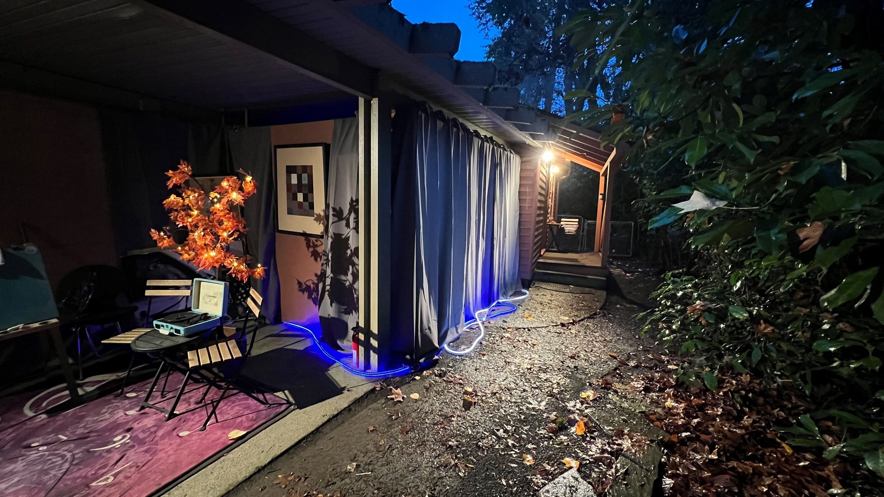 テラス / パティオ