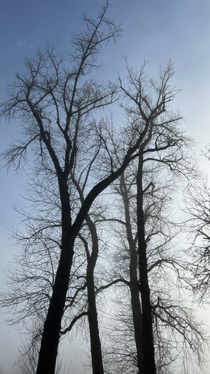 Miscellaneous - Blue Heron Sanctuary · Private Riverfront Cottage Retreat (West Linn)