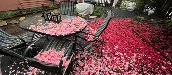 Blue Heron Sanctuary · Private Riverfront Cottage Retreat