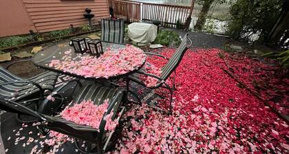 Blue Heron Sanctuary · Private Riverfront Cottage Retreat