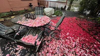 Blue Heron Sanctuary · Private Riverfront Cottage Retreat
