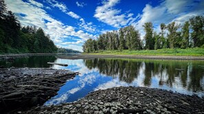 A calm river with a rocky shore and dense forest on both sides.